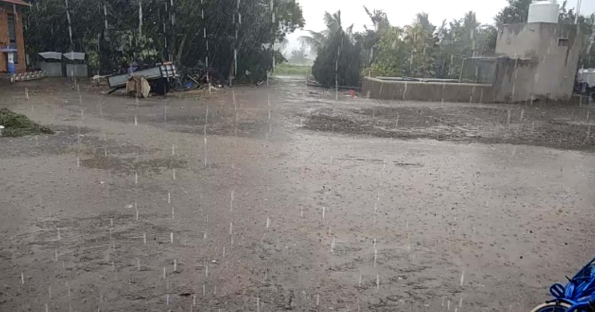 rain in Gujarat