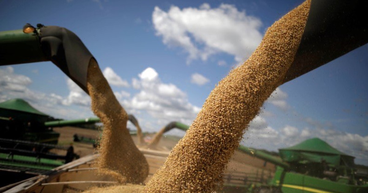 http://www.meranews.com/backend/main_imgs/soybean_indian-organic-soybeans-will-get-historic-new-highs-this-year_0.jpg?97